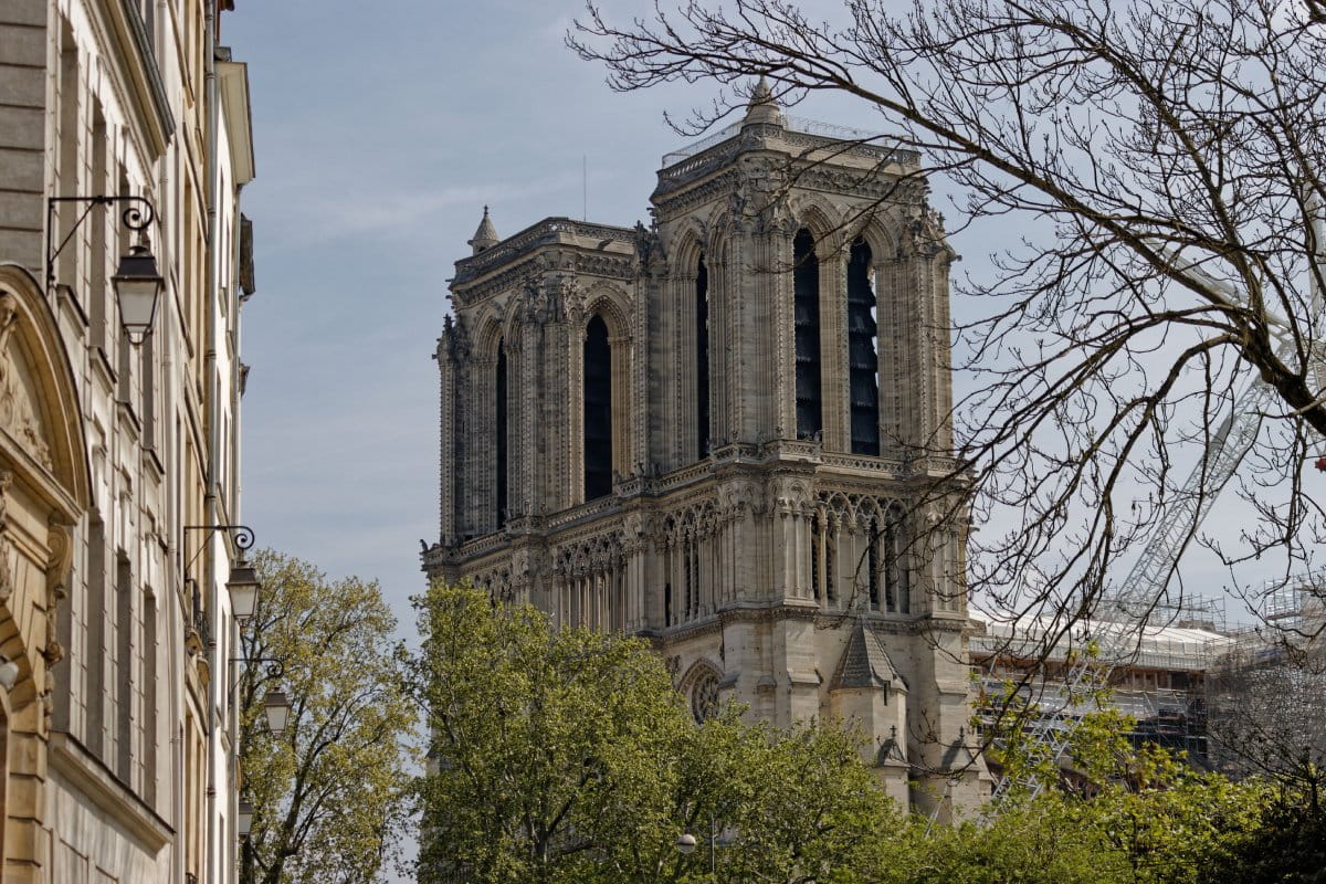 Essential Tips for First-Time Visitors to Notre Dame: A 2026 Guide